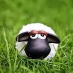 jip panomporn profile icon