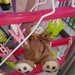 Hai Shan profile icon