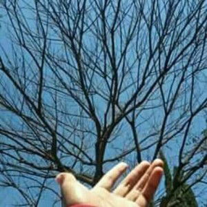 neng Miyah profile icon