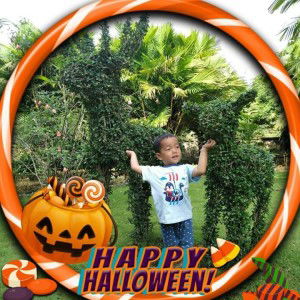 ชุติมา ยั่งยืน profile icon