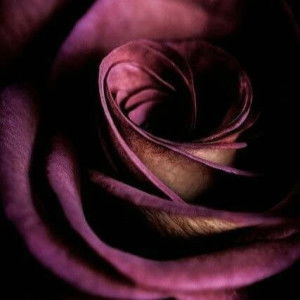 Ai Sumiati profile icon