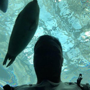 Jason Tse profile icon