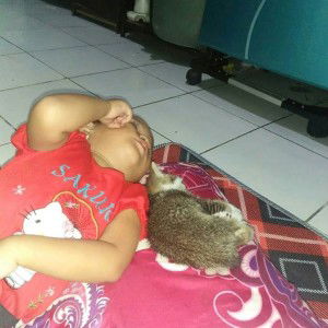 Ayu Kurniasih profile icon