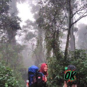 Viliana Farita profile icon