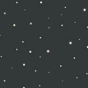 Siti paramadina profile icon