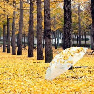 Fithra Taufika Infandari profile icon