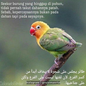 Leni Deonnawa profile icon