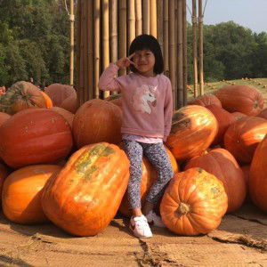 Joy Cp Enginar profile icon