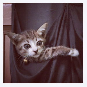 FA’s Mommy profile icon