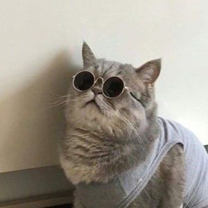 Anin Nurdian profile icon