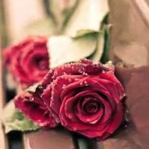 Rahma An-Nisa profile icon