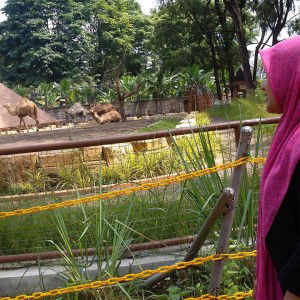 Lisa Amalia profile icon