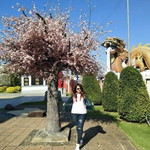 Happy Tum profile icon