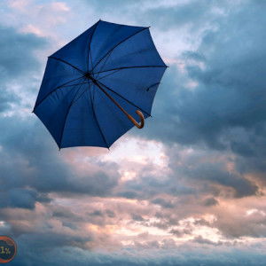 Fatimah Zahra Burhan profile icon