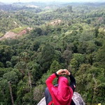 Niya Syams profile icon