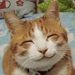 Misliana Rusdi profile icon