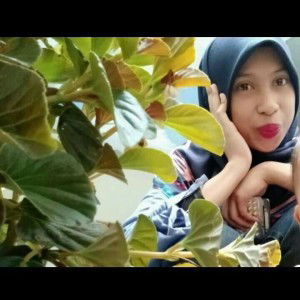 Rosmini Aprillia profile icon