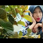 Rosmini Aprillia profile icon