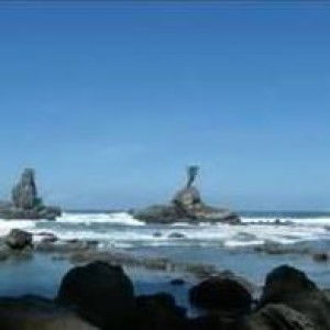 puspita profile icon