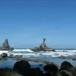 puspita profile icon