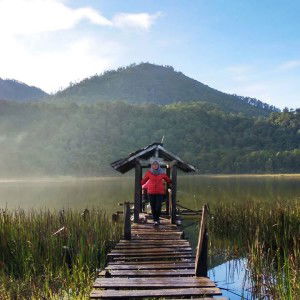 Dita An Nisaa profile icon