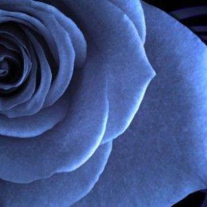 Nindy Runtuwene profile icon