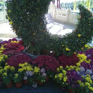 Jayanti Vivo profile icon