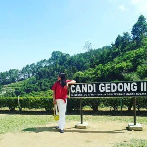 Novi Dika Fatmala profile icon