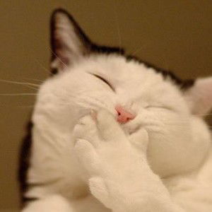 Cimuy Muyi profile icon