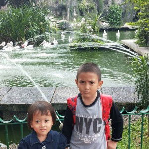 Erni Salfizh Alamsyah profile icon