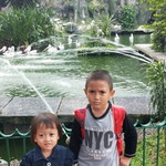 Erni Salfizh Alamsyah profile icon