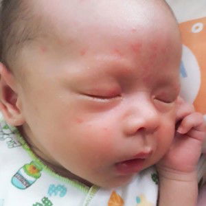 Syifa Khoiriah Ishaq profile icon