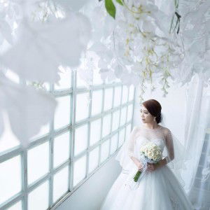 Anita NitNot profile icon