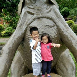 Dimple Rhey profile icon