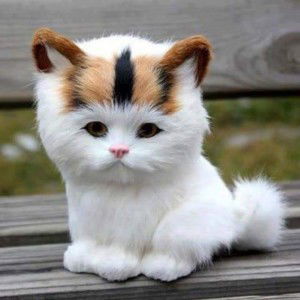 Ade Gustiwi Ayu profile icon