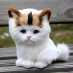 Ade Gustiwi Ayu profile icon