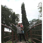 Putrii WuLandarii profile icon