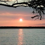 asna f amaliah profile icon