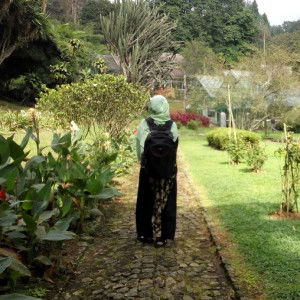 Dini Fitrah profile icon