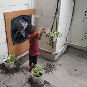 Nuee Anes profile icon