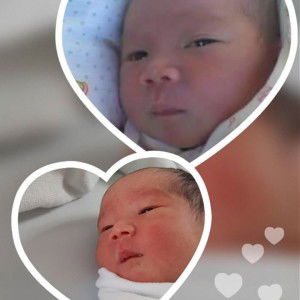 ใยไหม กะ ใบหม่อน profile icon