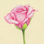 St Ariska Ramadhani profile icon