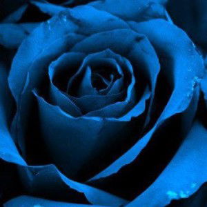 Ten Nurjanah profile icon