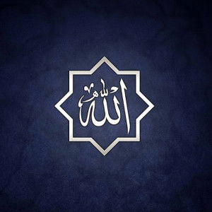 mizan shaf profile icon