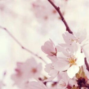 Shylvie profile icon