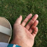 Kenih Sukenih profile icon