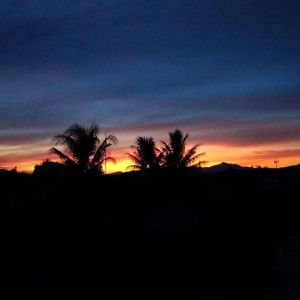 Fiquffi Quffi profile icon