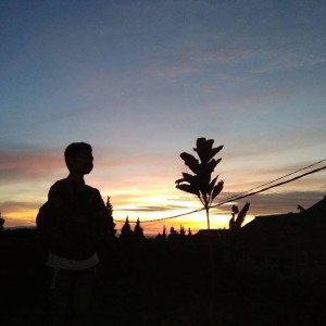 Dadi Hidayat profile icon
