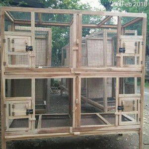 Agus Grab profile icon