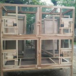 Agus Grab profile icon